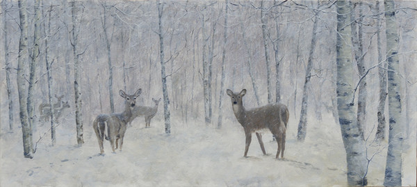 Winter Deer Yard