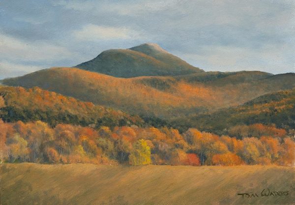 Late Color, Camels Hump