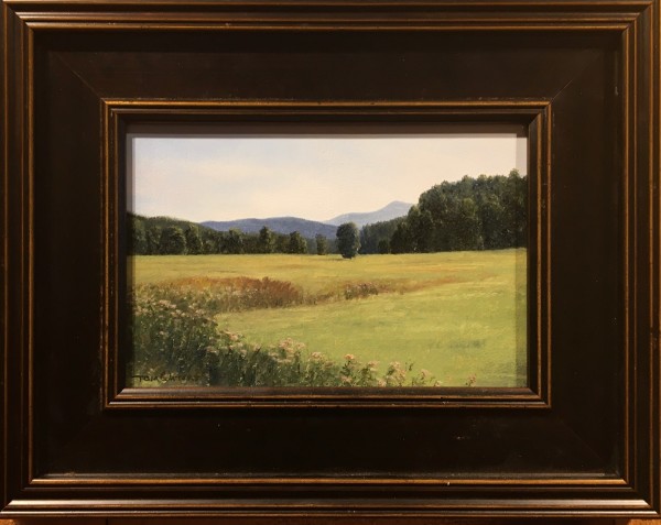 Summer Fields by Thomas Waters