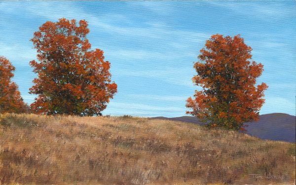Twin Maples by Thomas Waters