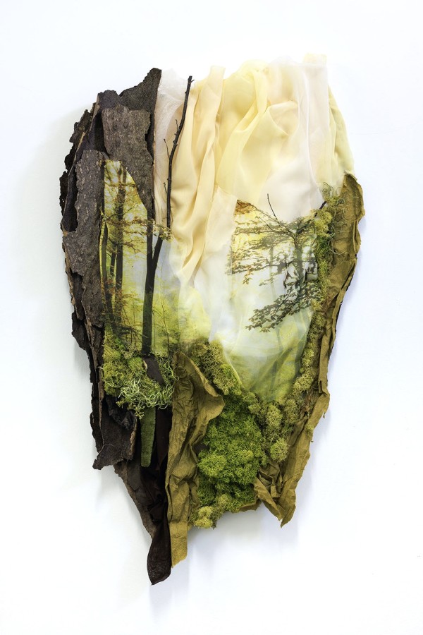 We are Nature IV by Karla Kantorovich