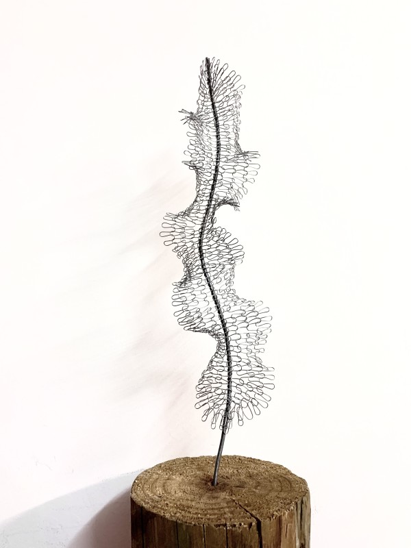 Kelp maquette by Tania Spencer