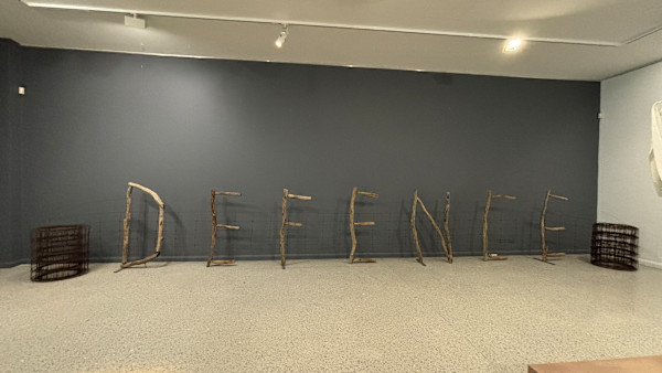 Defence by Tania Spencer