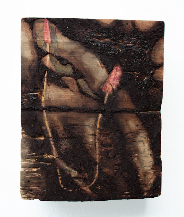 Bistort (Twice-twisted) by Eleanor Bernard, Image 1.