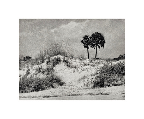 dune by David Covert