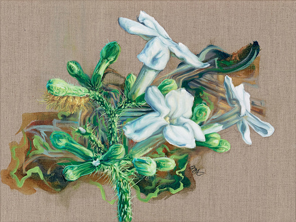 Golden Caterpiller by Jessica Monroe Fine Art