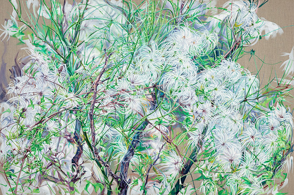 Old Man's Beard by Jessica Monroe Fine Art