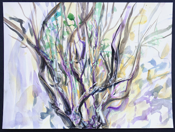 Persimon by Jessica Monroe Fine Art