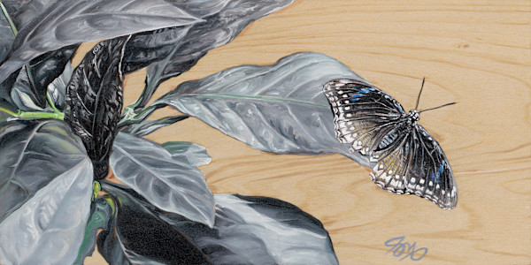 Gray Leaves and Butterfly by Jessica Monroe Fine Art