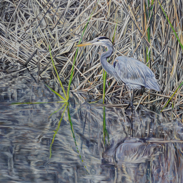 Heron in Reeds