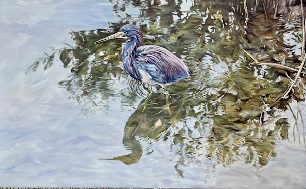 Shadows and Reflections (Unfinished)