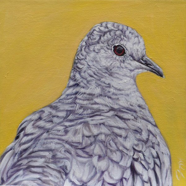 Inca by Jessica Monroe Fine Art