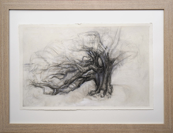 New Orleans Tree of Life by Jessica Monroe Fine Art