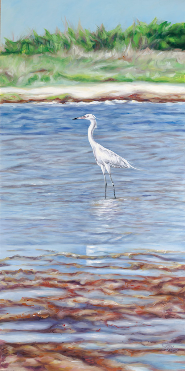 White Morph in Color by Jessica Monroe Fine Art