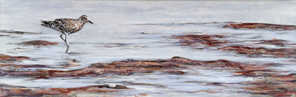 Hunting Plover by Jessica Monroe Fine Art, Image 5.