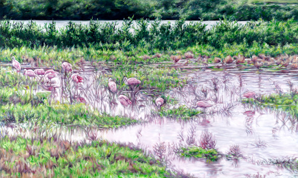 Spoonbills Commission by Jessica Monroe Fine Art