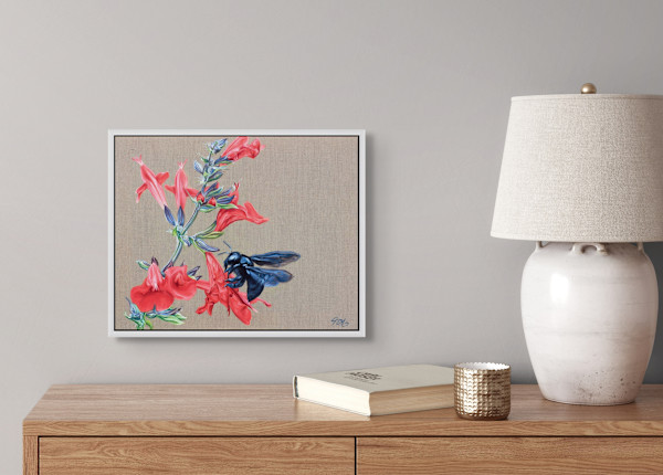 Red, Black, and Blue III by Jessica Monroe Fine Art