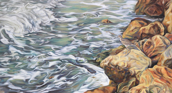 Observing Willet by Jessica Monroe Fine Art