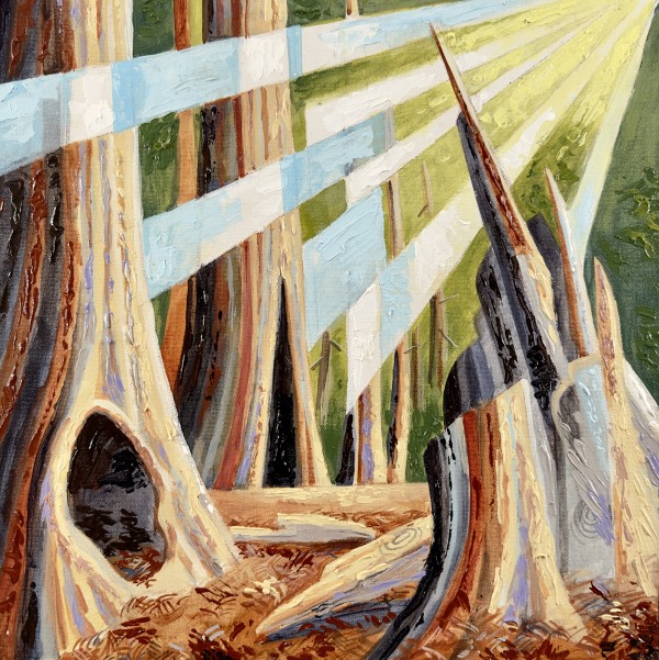 Redwood Sunburst by Jeff Dallas