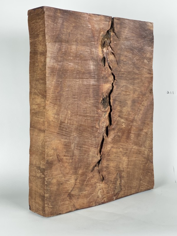 PIECES OF WOOD #4 by Doug Moran