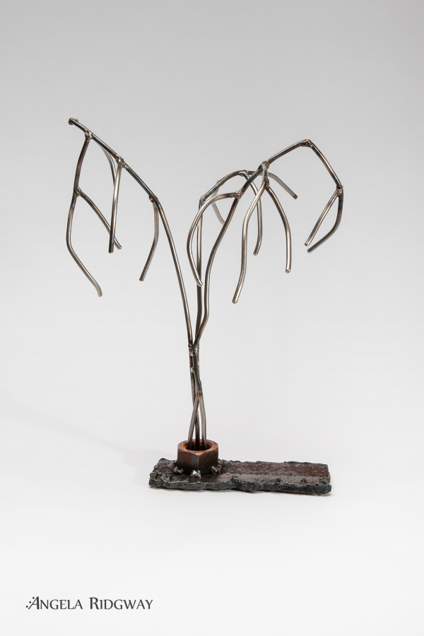 weeping willow #1 by Angela Ridgway