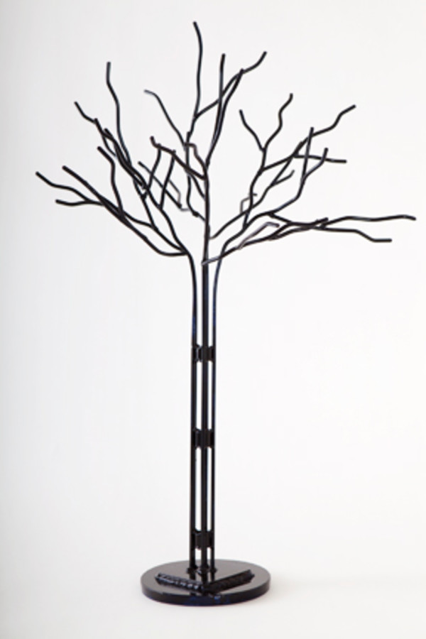 black cherry tree by Angela Ridgway