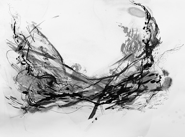 What we contained by Laura Cleary Williams, Image 1.