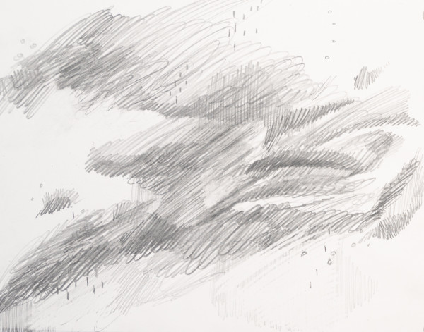 Sketch 9/10/2024 by Laura Cleary Williams