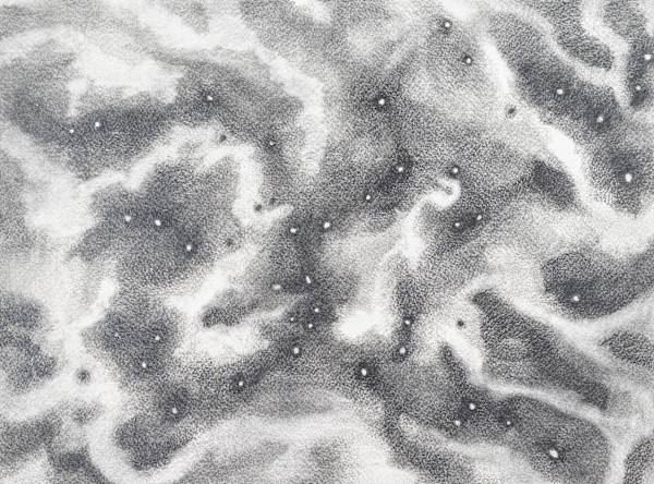 the space around, scattered seeds by Laura Cleary Williams