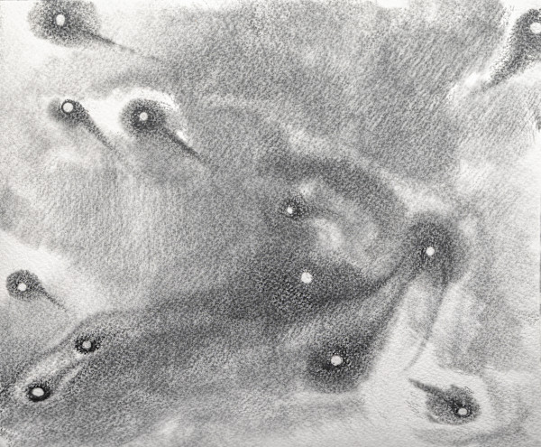 the space around, dropped lavender no 1 by Laura Cleary Williams