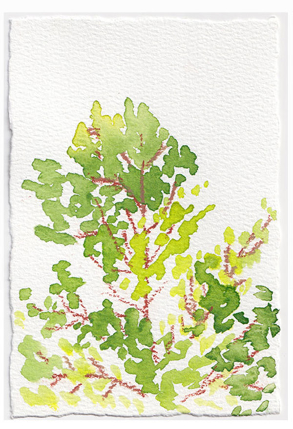 Sedona Watercolor 23 by Mari Pohlman