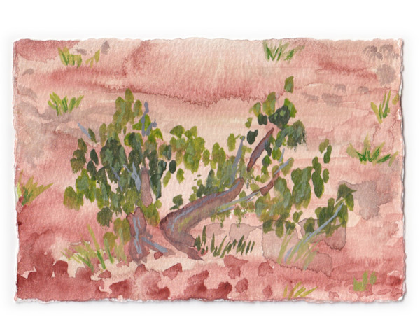 Sedona Watercolor 10 by Mari Pohlman