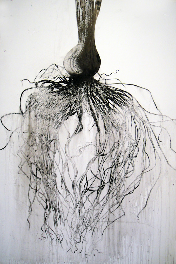 Onion by Heidi Jung