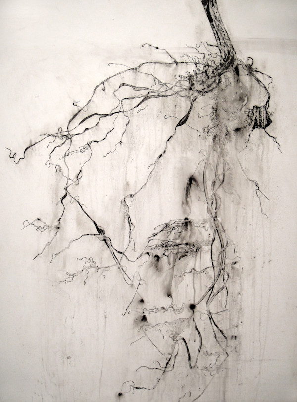 Root II by Heidi Jung