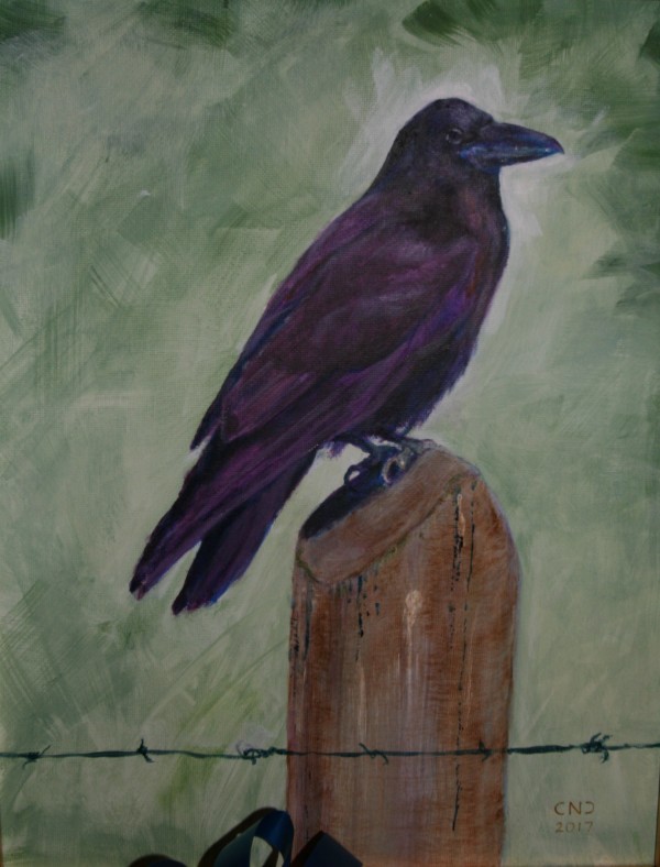 Raven by Cate Crawford by Cate Crawford and Wilson Crawford