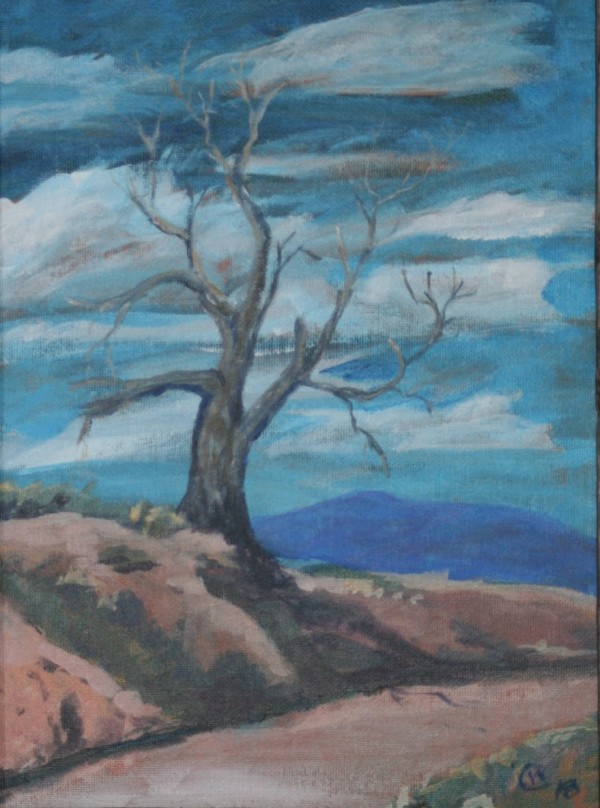 Plains Cottonwood  by Wilson Crawford by Cate Crawford and Wilson Crawford