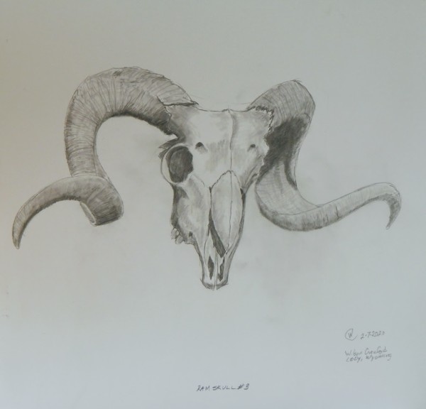 Ram Skull #3 by Cate Crawford and Wilson Crawford