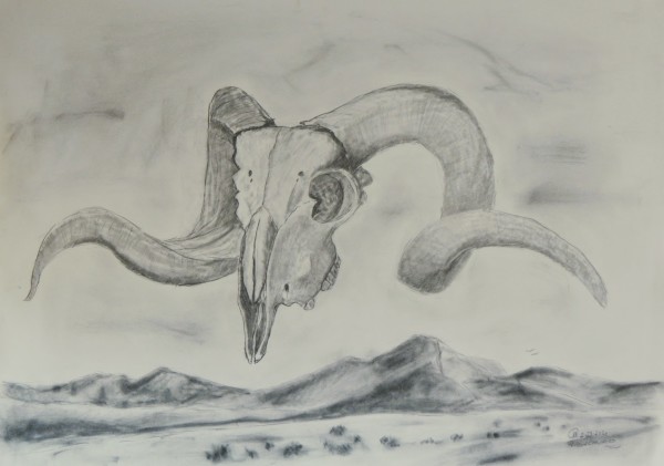 Ram Skull and Hills by Cate Crawford and Wilson Crawford