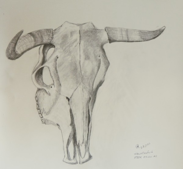 Steer Skull #1 by Cate Crawford and Wilson Crawford