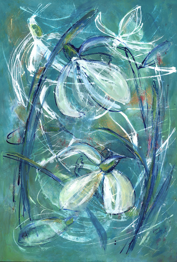 Snowdrop by Ronnie Cruwys