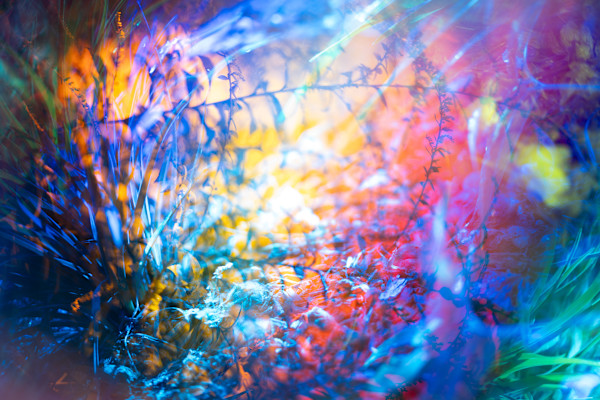 Maelstrom in a Rainbow by Brandon Woods, Image 1.