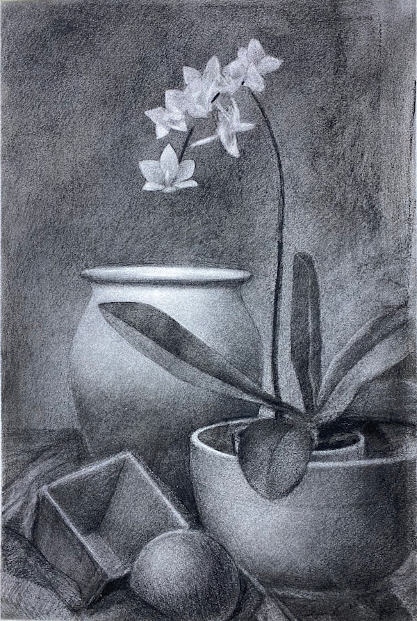 ORCHID by Robin Crouch