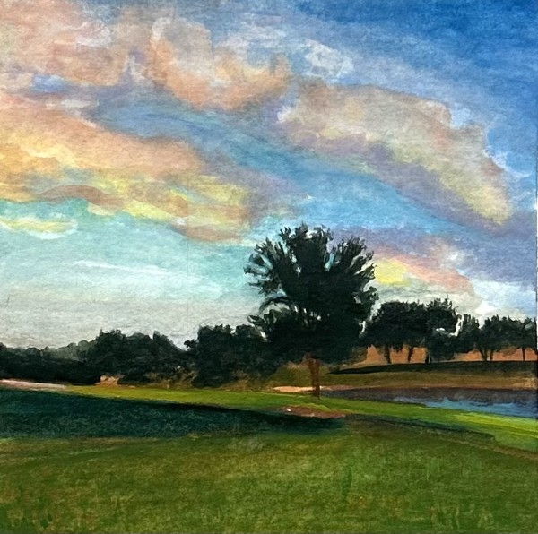 GAFFNEY'S TREE by Robin Crouch