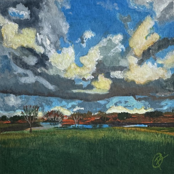 SWIRLING SKY by Robin Crouch