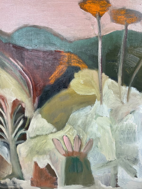 The Adventure by Dana Finch