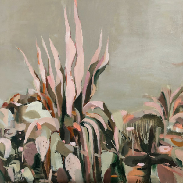 Pink Agave by Dana Finch