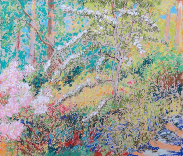LS30: May tree and azaleas in the wood - 28th May 2020 by Simon Blackwood