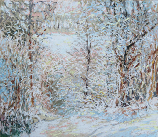 LS(II) 2: Path through the Woods - 8th January 2021 by Simon Blackwood