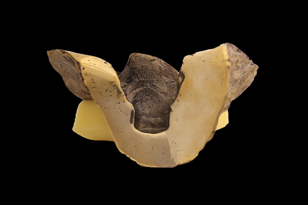 And The Day Came by Siri Devi Khandavilli