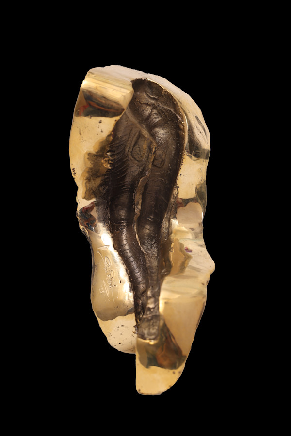 And The Day Came by Siri Devi Khandavilli